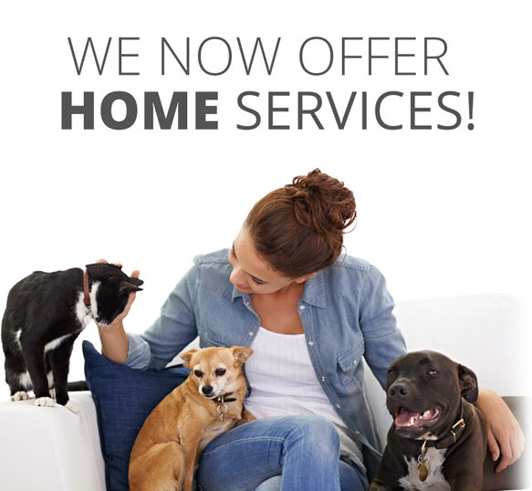 home services pet